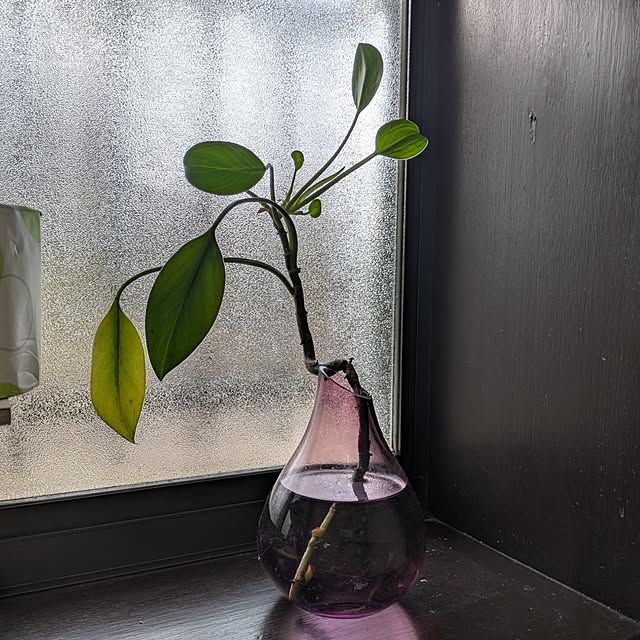 asaさんの部屋