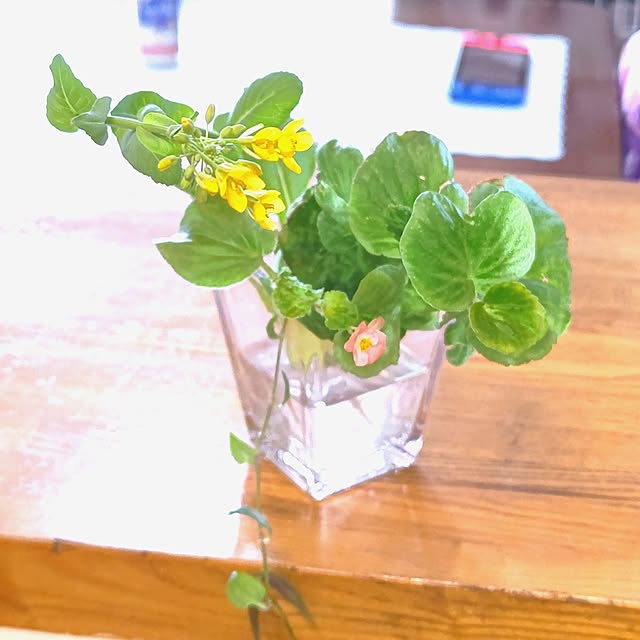 mariaさんの部屋