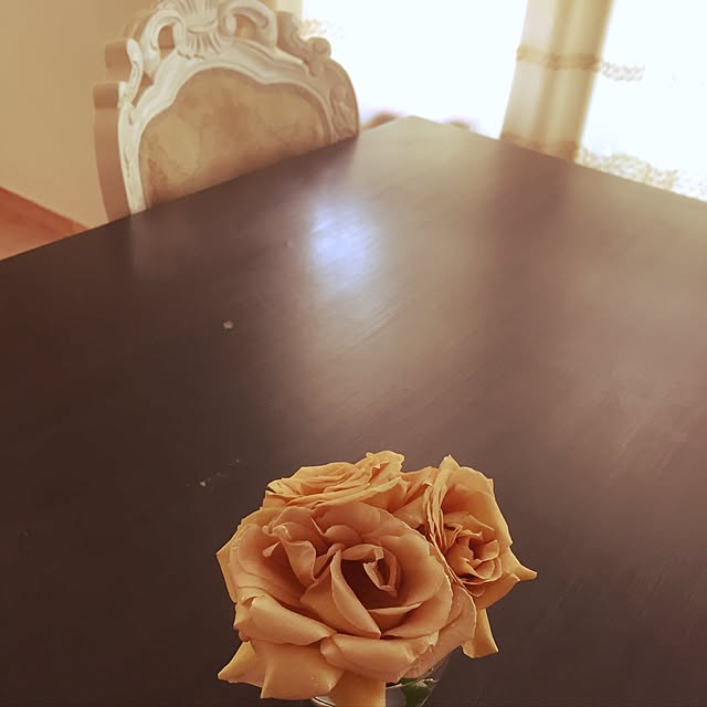 Camelliaさんの実例写真