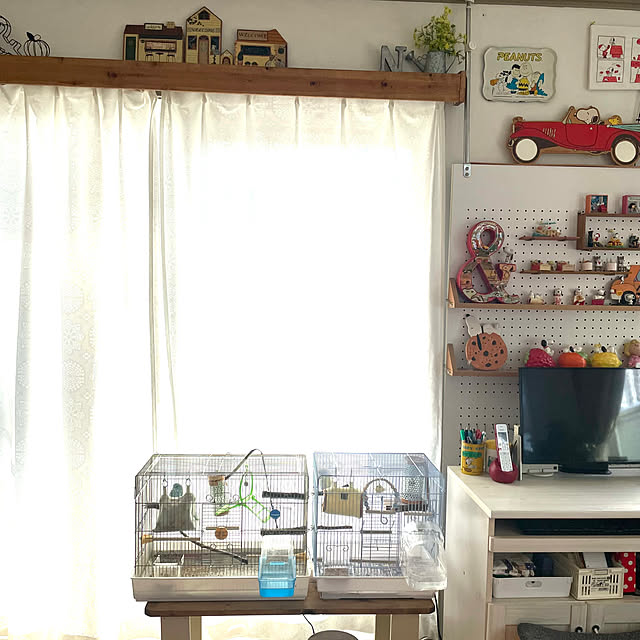 AcchanSaysさんの部屋