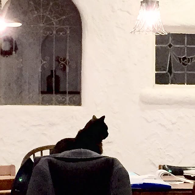 syuさんの実例写真