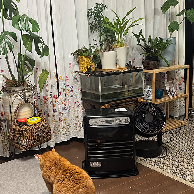 okyosan101さんの実例写真