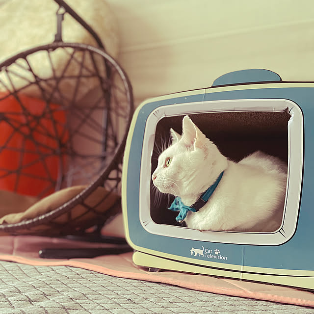 Maiさんの部屋