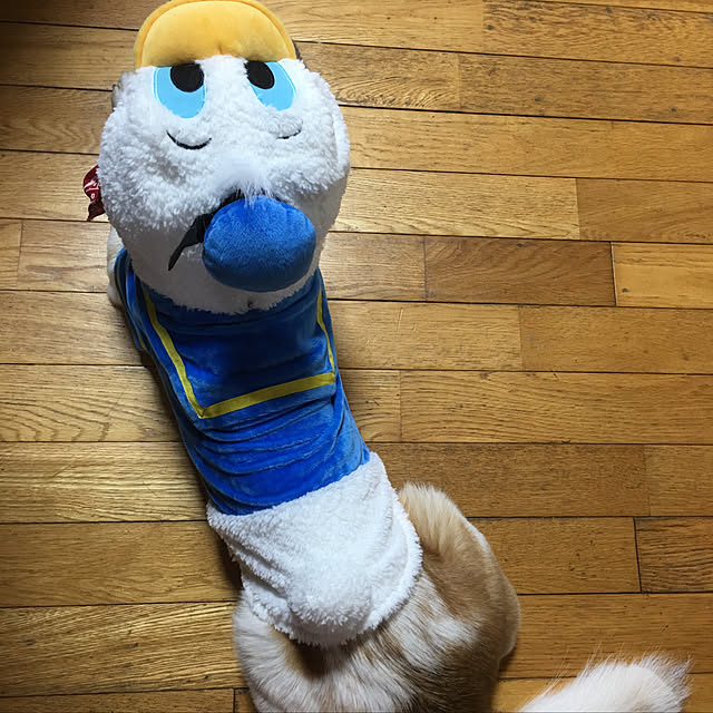 Milkyappleさんの実例写真
