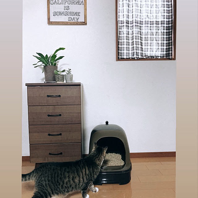 hiiiiiさんの実例写真
