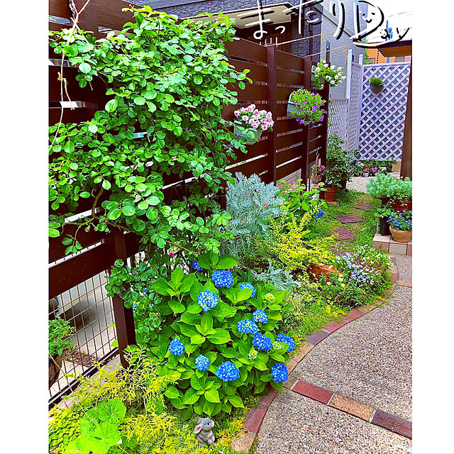 hinamamaさんの実例写真