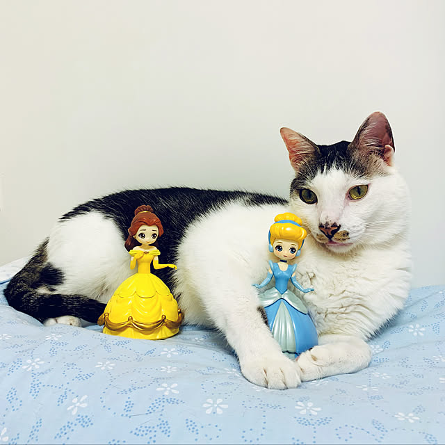 pcu110さんの実例写真