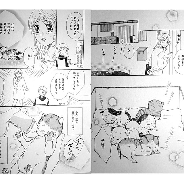 実例写真