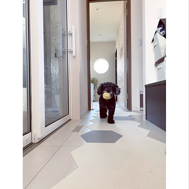 Mamiyさんの実例写真