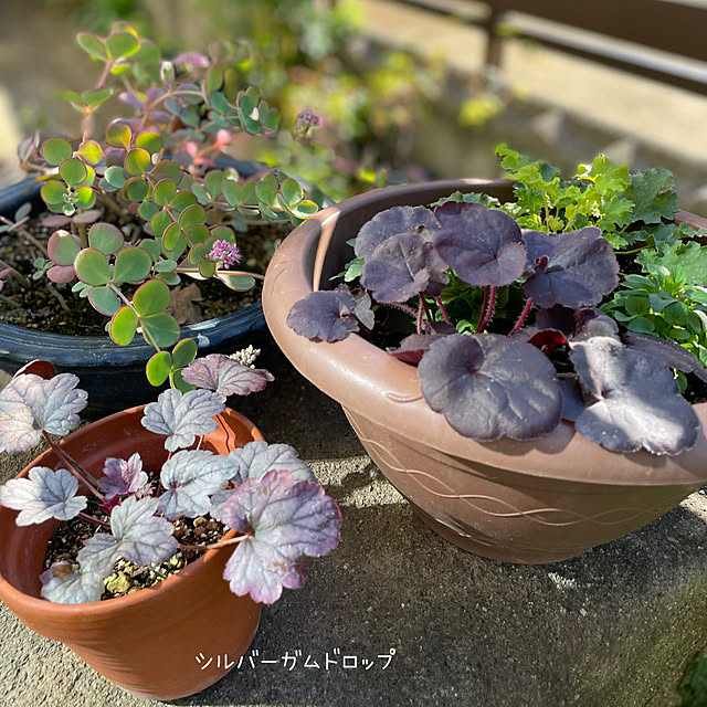 buchiさんの部屋