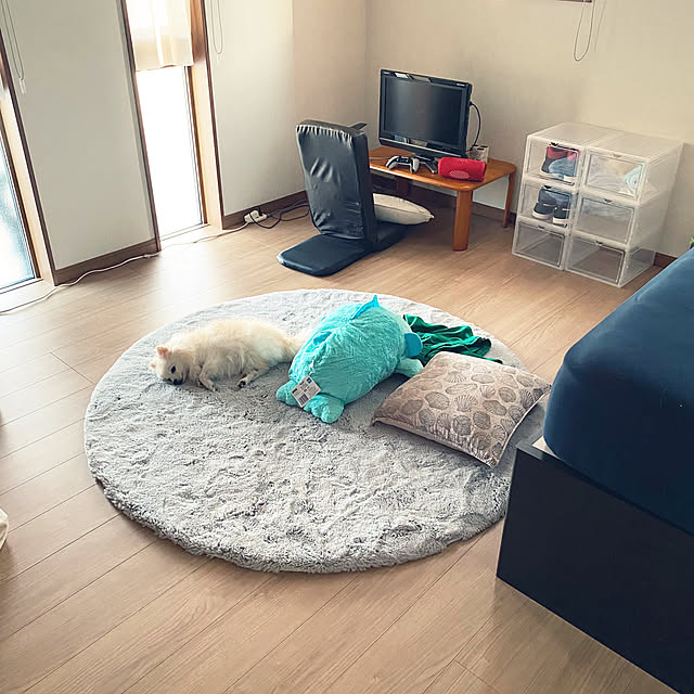 1546さんの実例写真