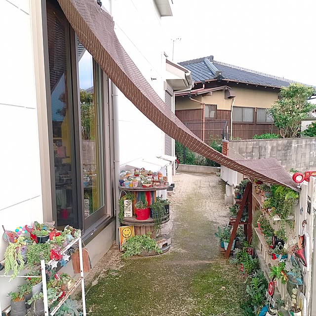bon-bon-hippieさんの実例写真