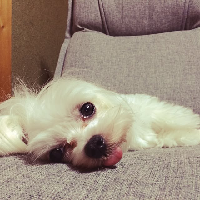 Minamiさんの実例写真