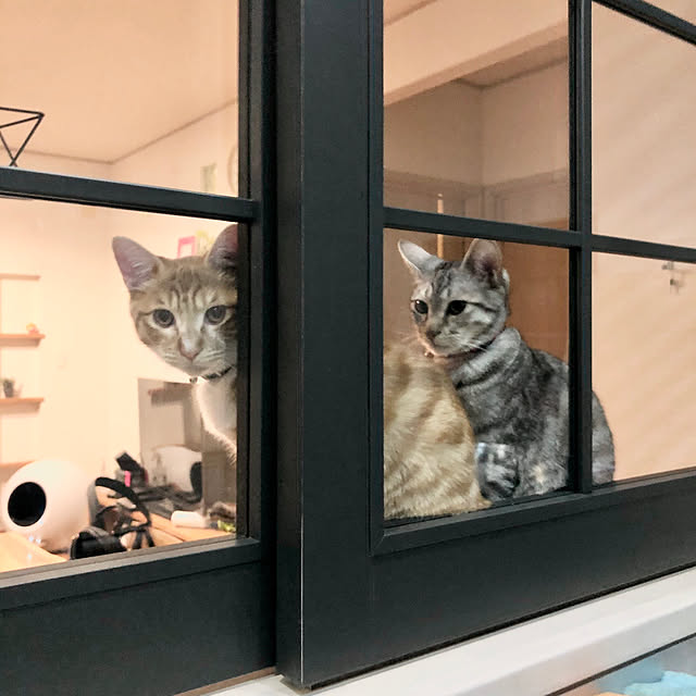 Suzuさんの実例写真