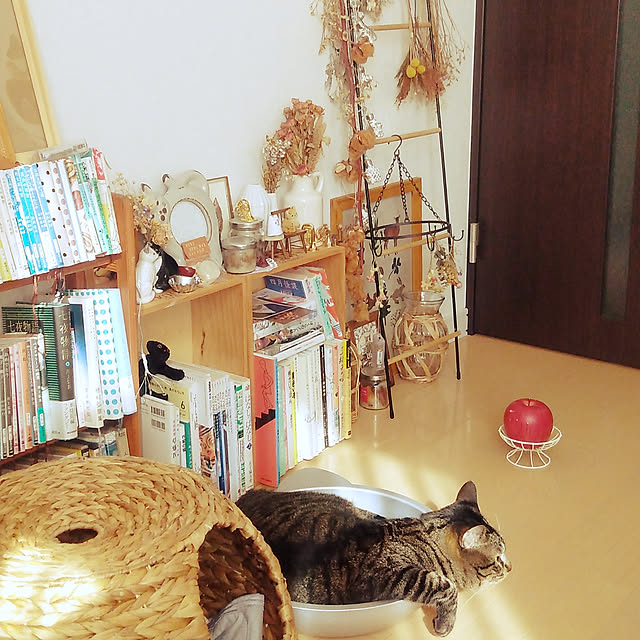 sleepywhaleさんの実例写真