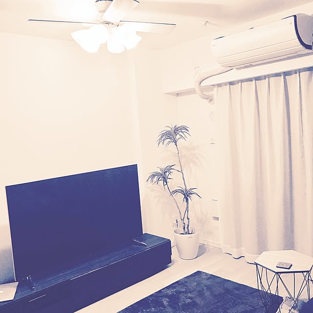 kaiさんの実例写真