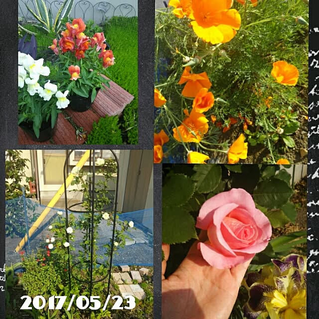 bousuke.215112さんの実例写真