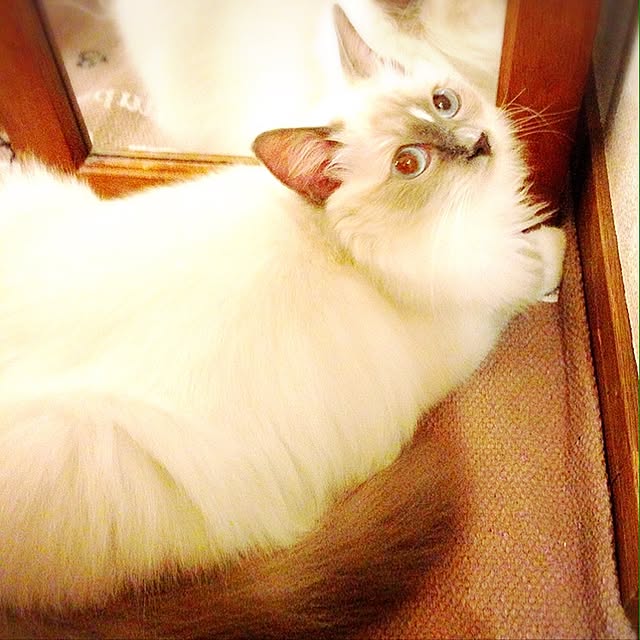 hannaさんの実例写真
