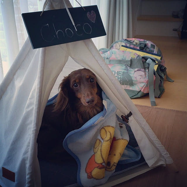 puritan_rさんの実例写真