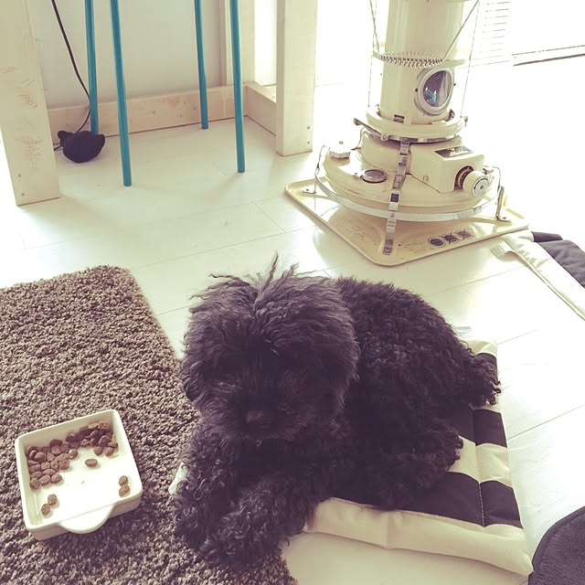 chiiさんの実例写真