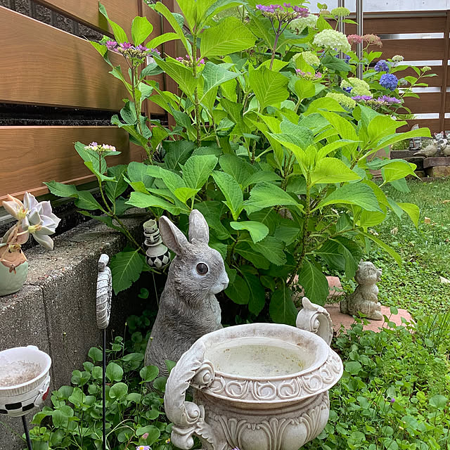 haruminさんの実例写真