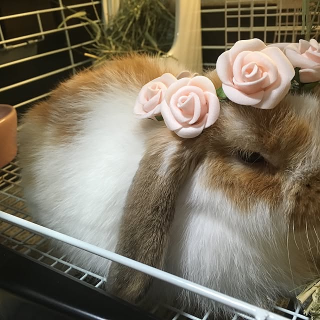 tamamm703さんの実例写真