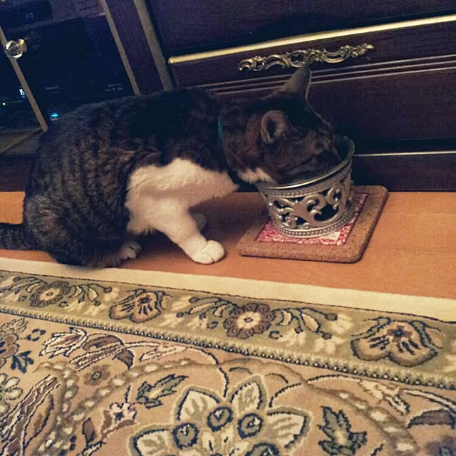emmyyさんの実例写真