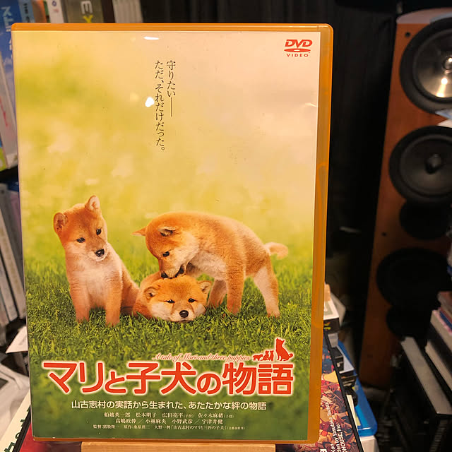 Shigeさんの実例写真