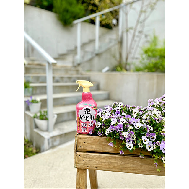 hanatomidorinoheyaさんの実例写真