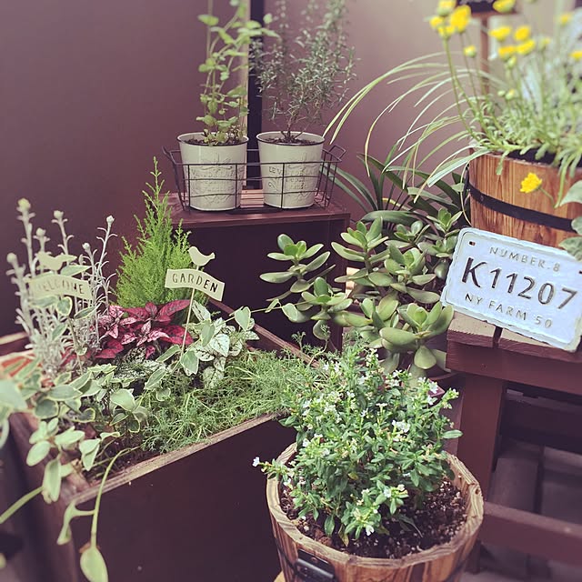 kaaana.さんの実例写真