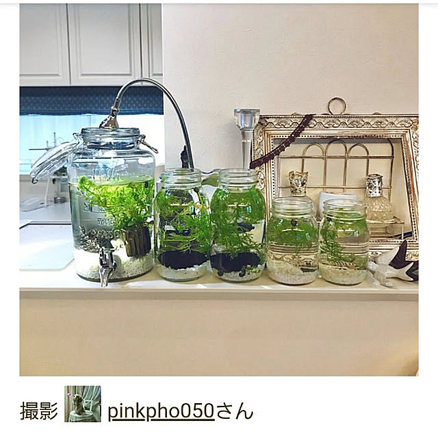 pinkpho050さんの実例写真