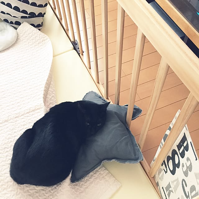 yuki0511さんの実例写真