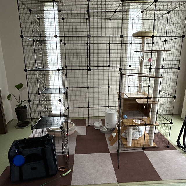yunyumさんの部屋
