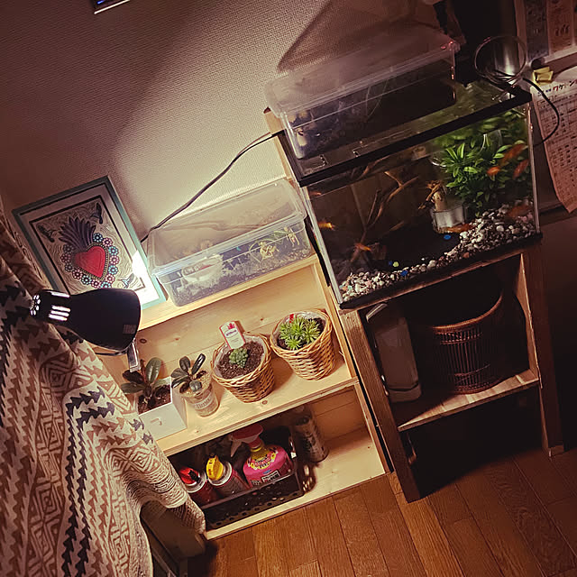 michaaanxxxさんの部屋