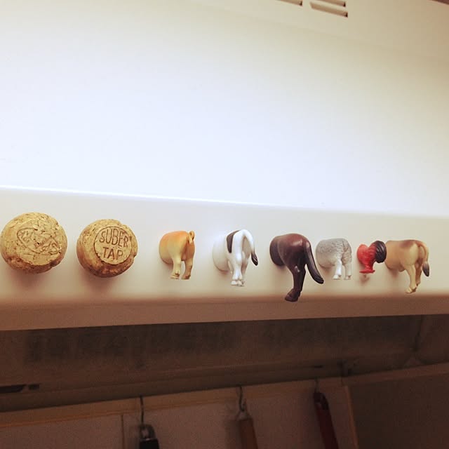 Maruさんの実例写真