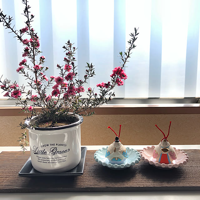 Mitsuさんの実例写真