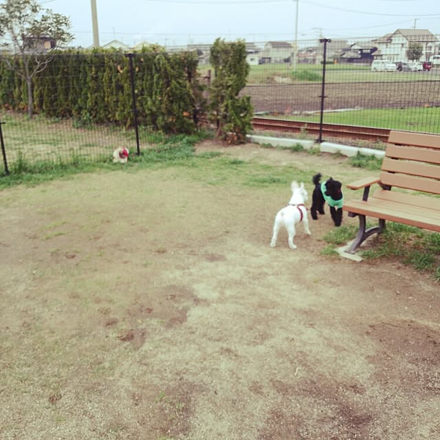 ChocolateNandasさんの実例写真