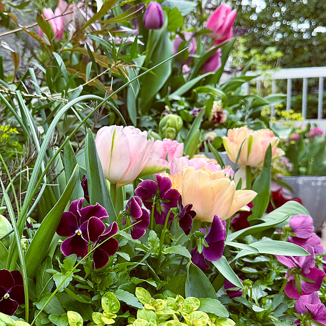 DAYONEさんの実例写真