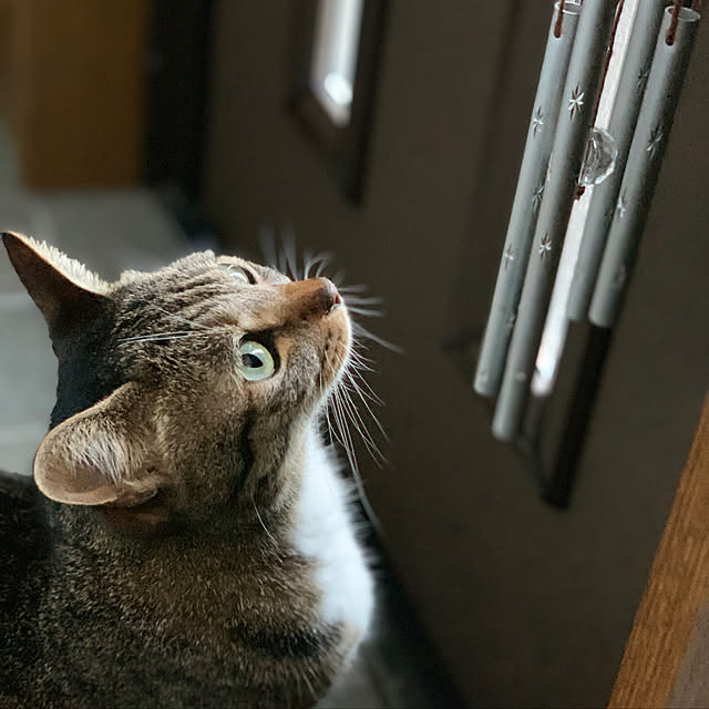 2bunno1koさんの実例写真