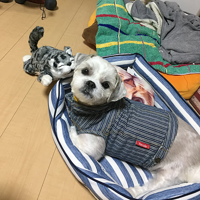 emiさんの実例写真