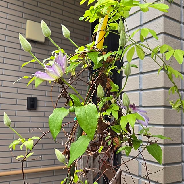 mitsuyama3136さんの実例写真