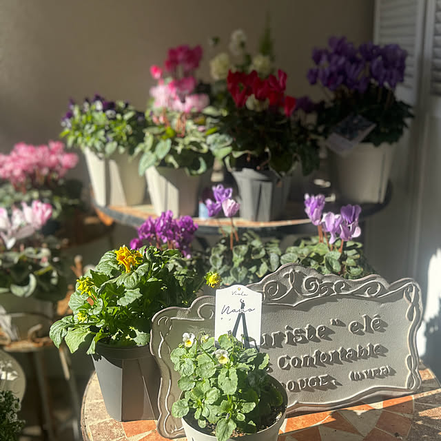 cocoさんの実例写真