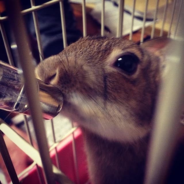 kanaeさんの実例写真
