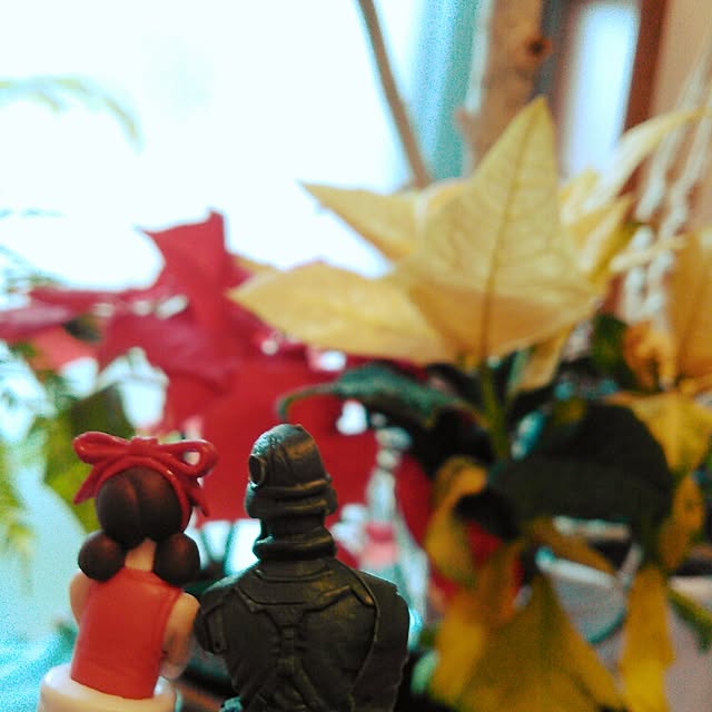 akr29さんの実例写真