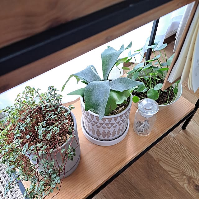 HISORAさんの部屋