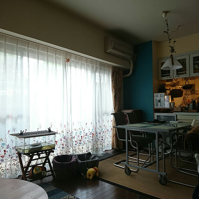 okyosan101さんの実例写真