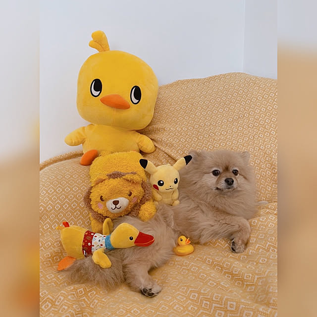 maruさんの実例写真