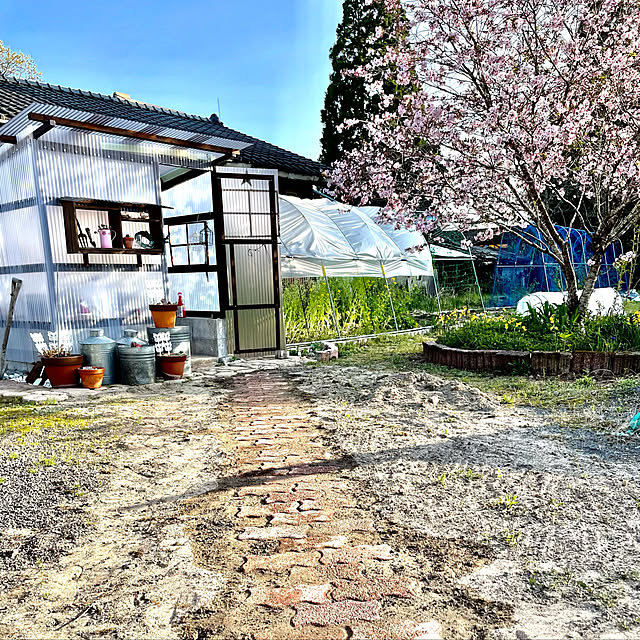 543さんの実例写真