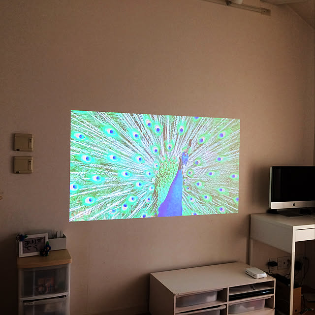 takumiraiさんの実例写真
