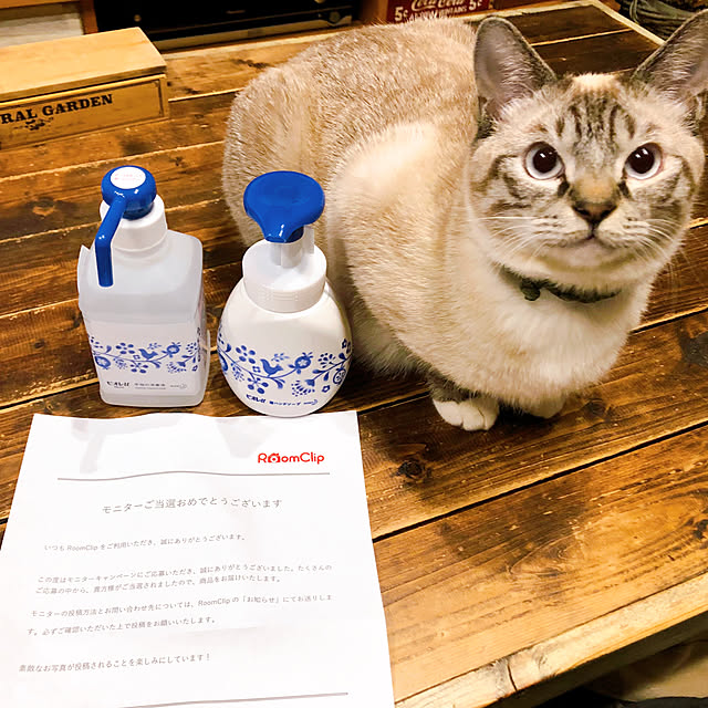 8717さんの実例写真